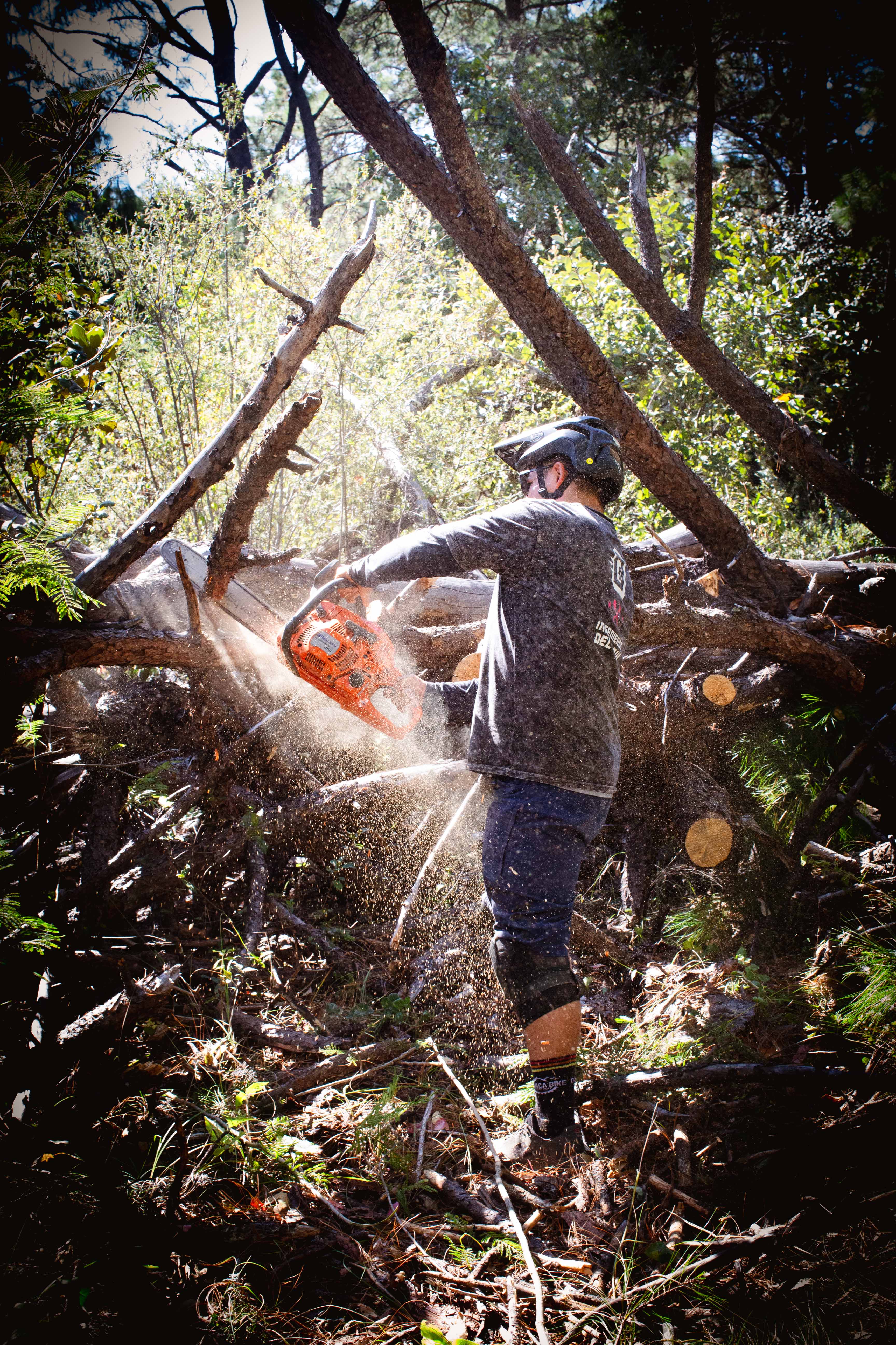 Proceso de Ingeniería en Flujo - Paso 3